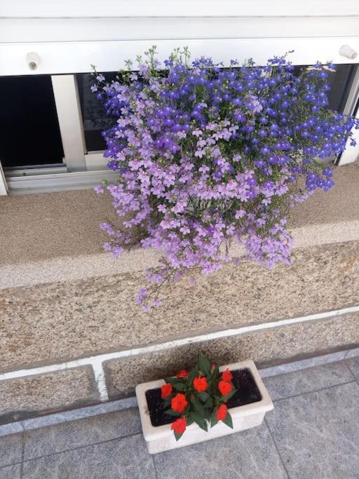 Apartamento En San Vicente De O Grove Exterior photo